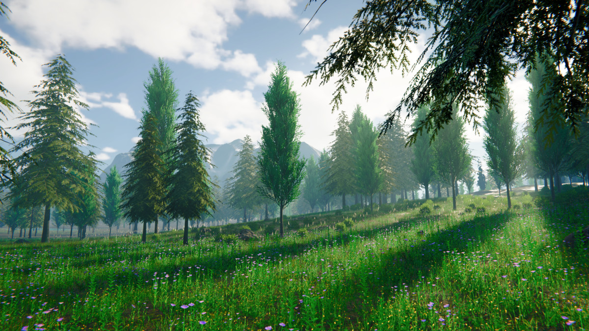Grass Landscape