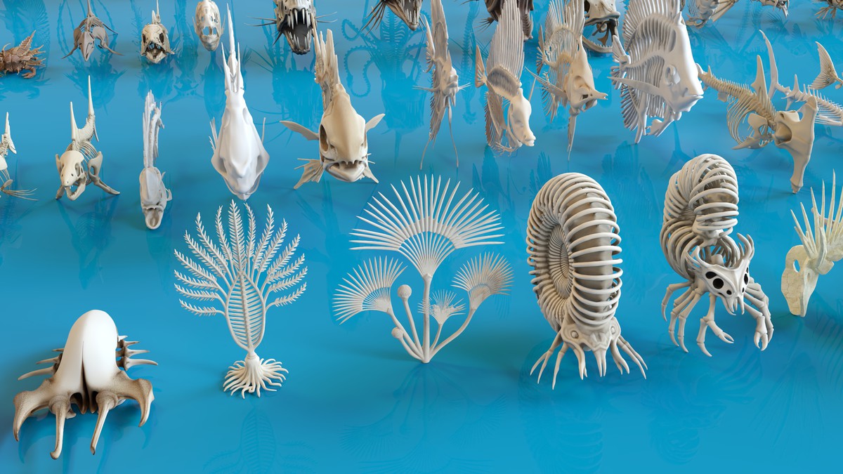 Fish and Underwater Creatures Skeleton Collection – Marine Bone 3D Asset Pack