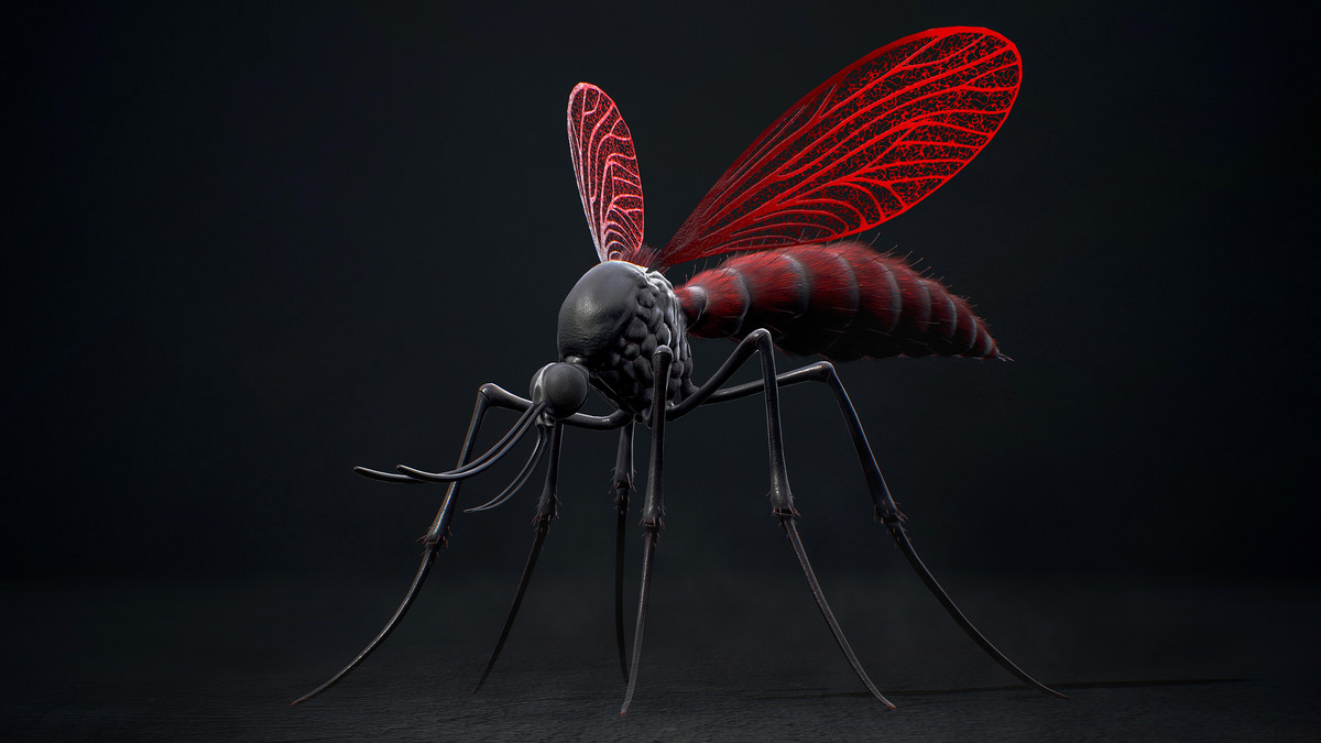 Mosquito Queen - Fantasy land Mosquitoes