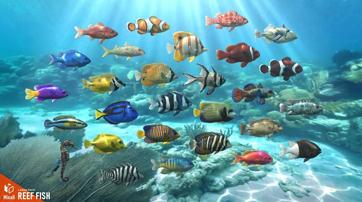 Reef fish - large pack