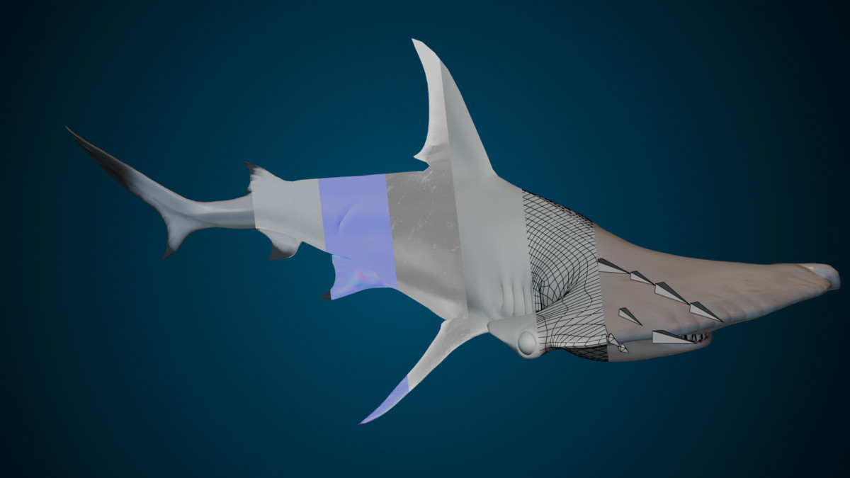 Animated Hammerhead Shark (02)