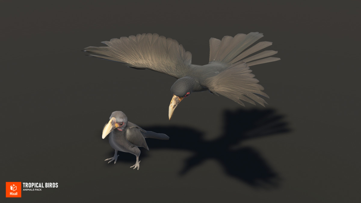 Tropical birds - animals pack