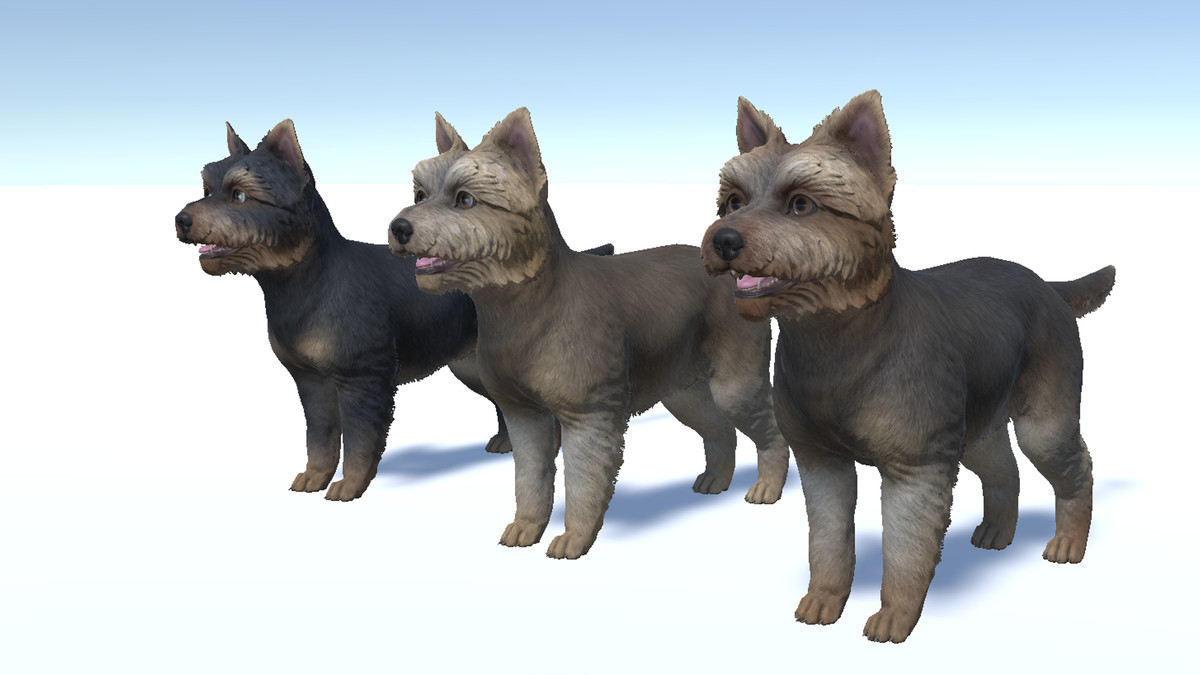 Dog - Yorkshire Terrier
