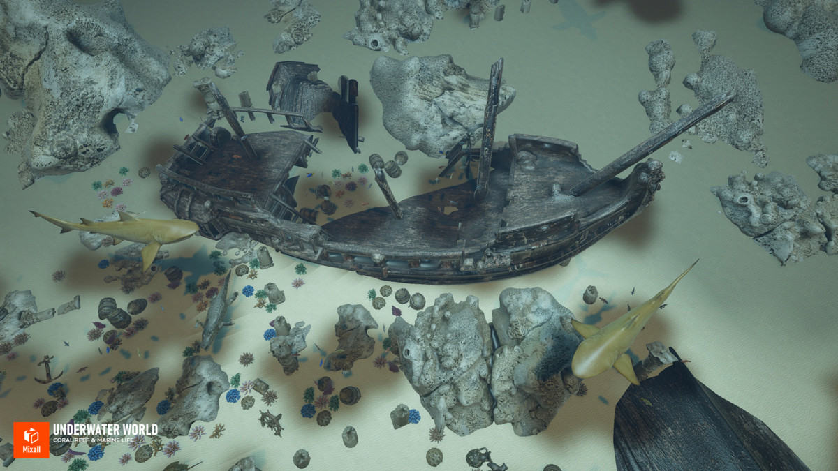 Underwater world - Coral Reef & Marine Life