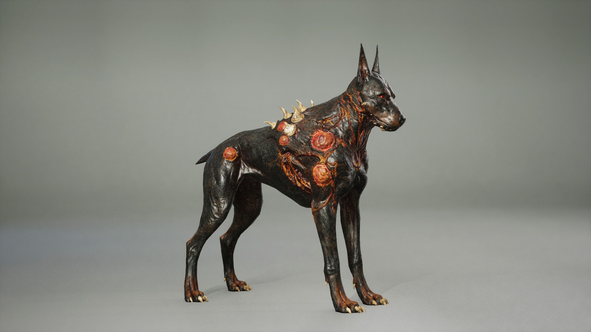 Dog mutant