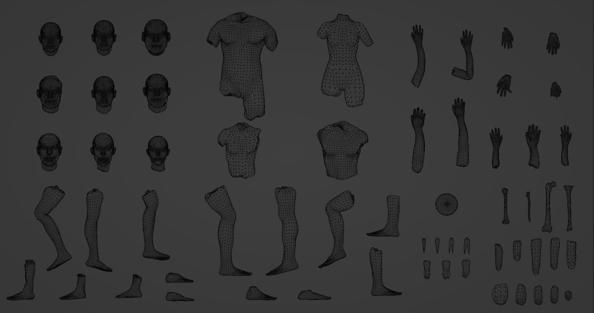 Human Body Parts