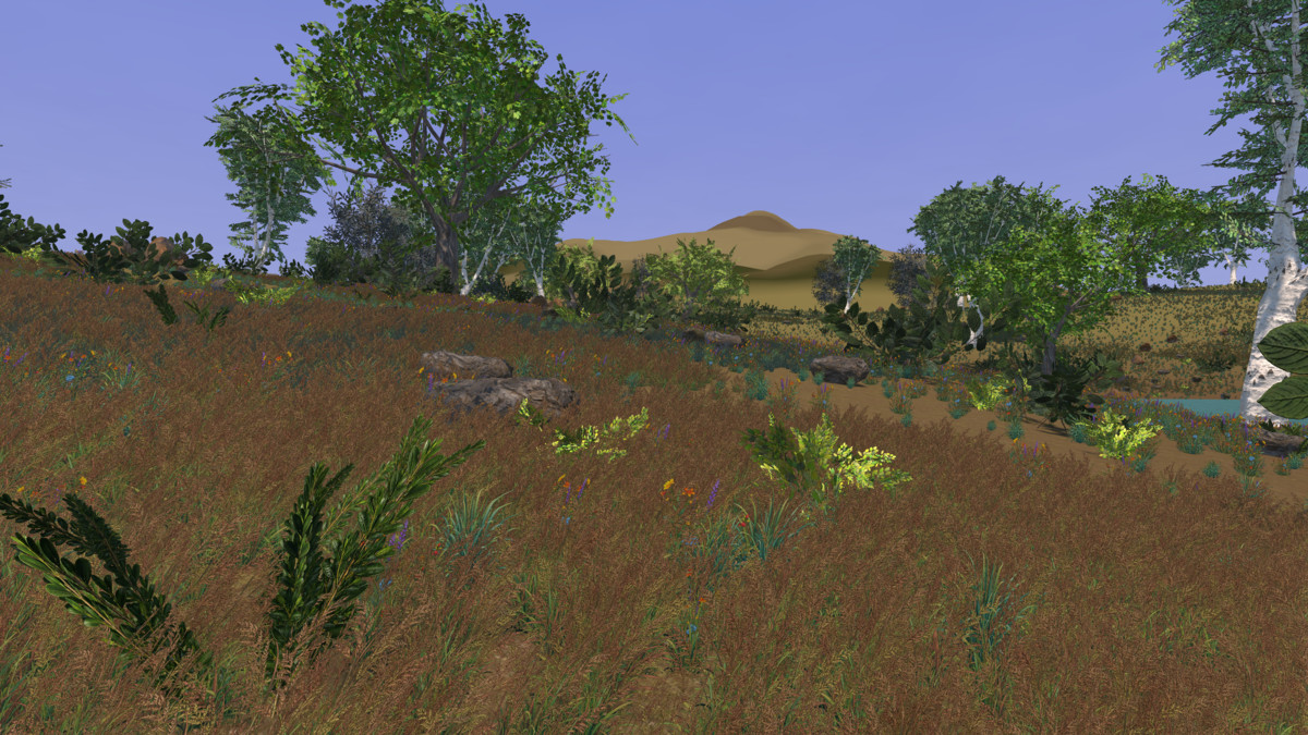 Runtime World Generation