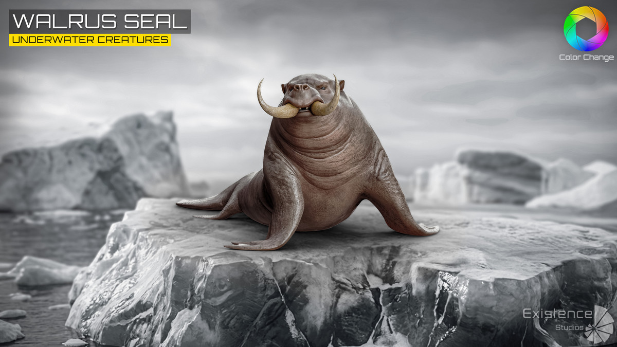 Underwater Creatures Pack 4 - WalrusSeal, Spider, Turtle, Worm, Dolphin & Remora