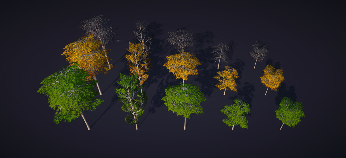 Low-Poly Birch Tree Pack - Multi-Season
