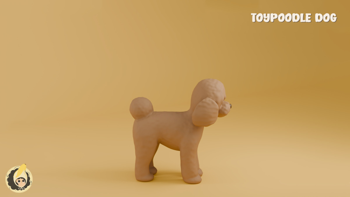 Animated Toy Poodle Dog