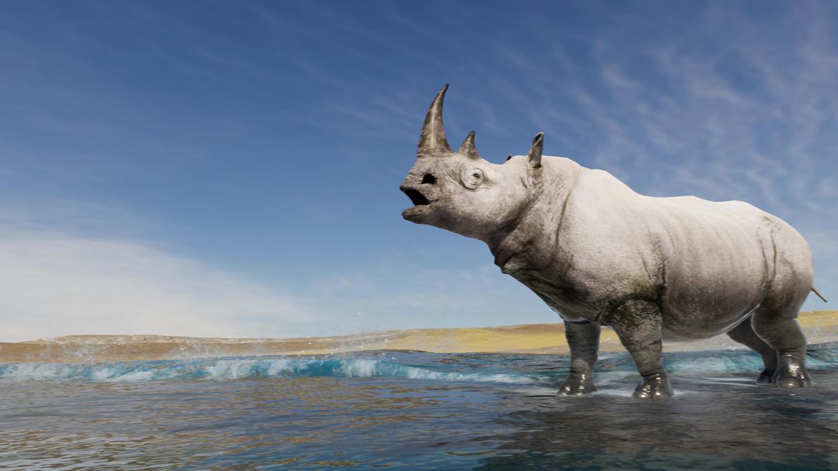 Realistic African Rhinoceros