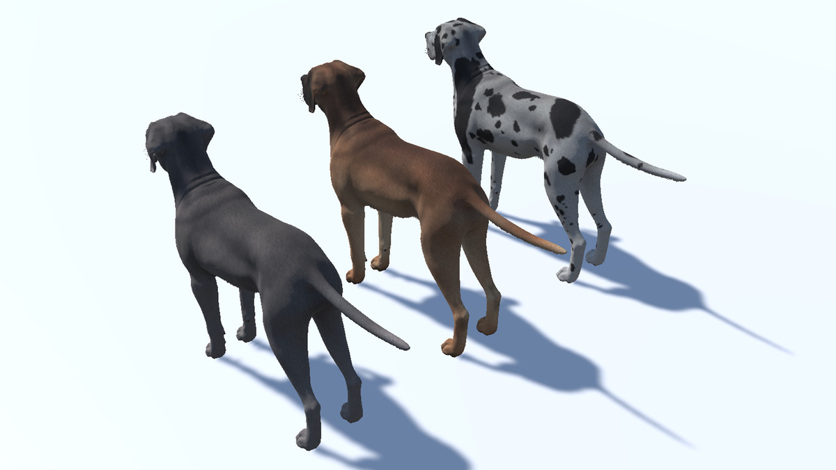 Dog - Great Dane