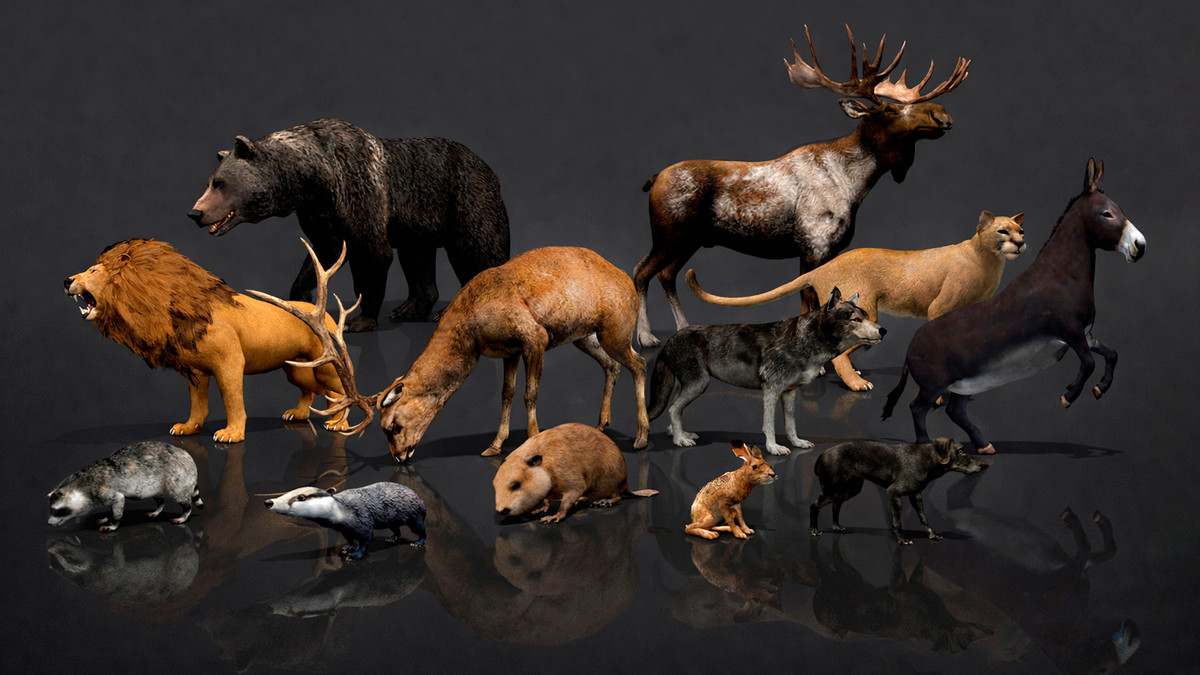WILDPOLY - Animated Animals – Realistic Pack