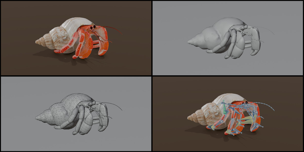 Animated Hermit Crab