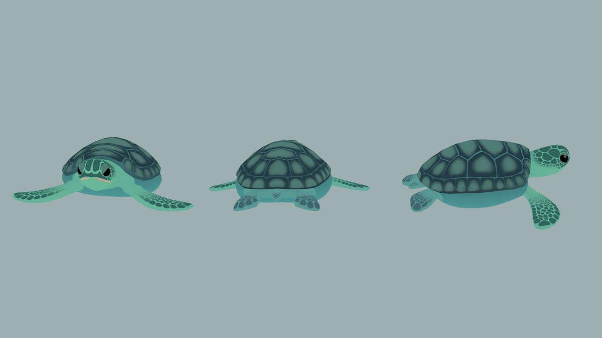 Stylized Turtle Animation Pack– FAUNA