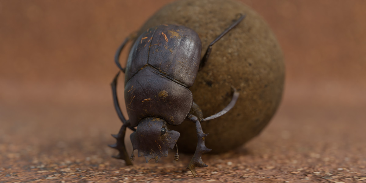 Animated insect bundle