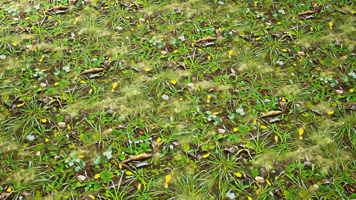 Stylized Materials - Forest Ground 1