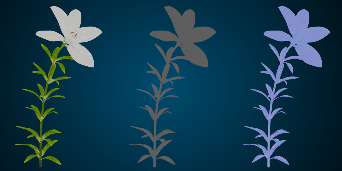 Animated blooming lily