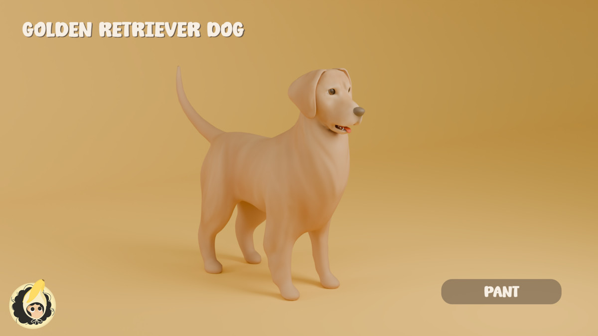 Golden Retriever Dog