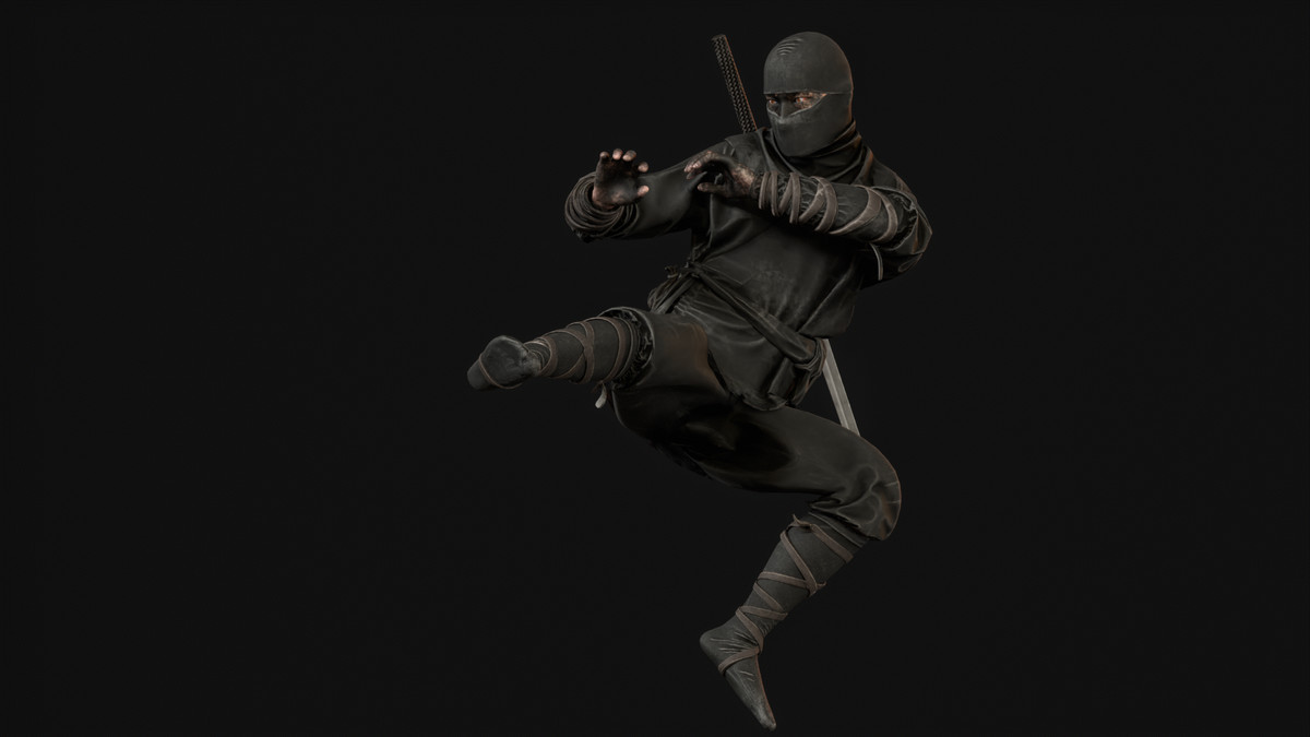 Classic Ninja
