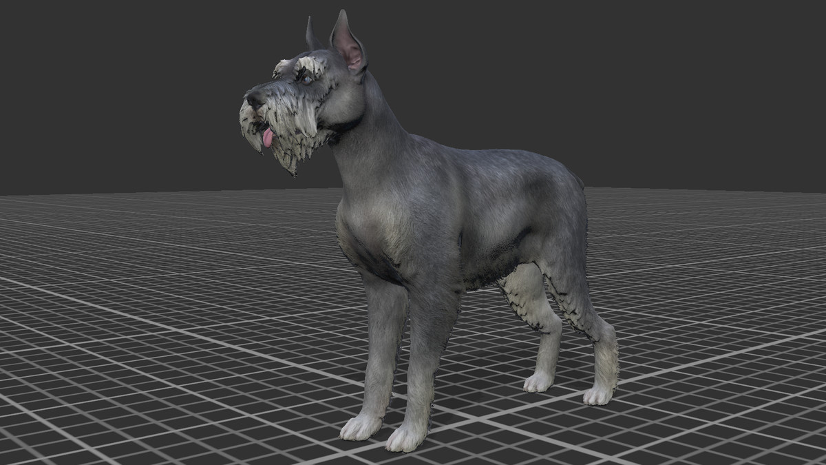 Dog - Schnauzer
