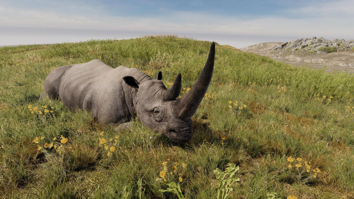 Realistic African Rhinoceros