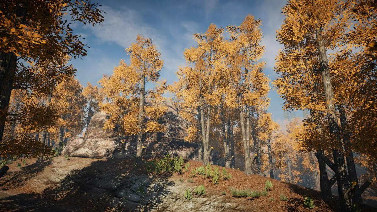 All Tree Bundle (All in One)