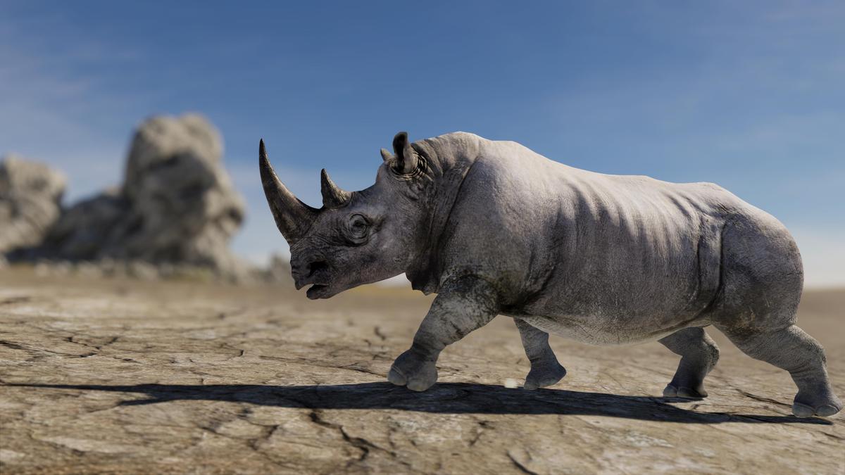 Realistic African Rhinoceros