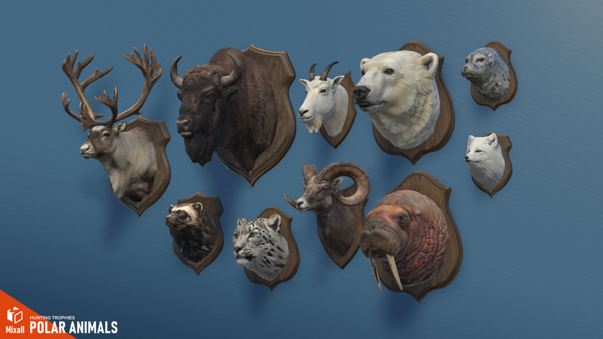 55 Hunting Trophy - Full pack