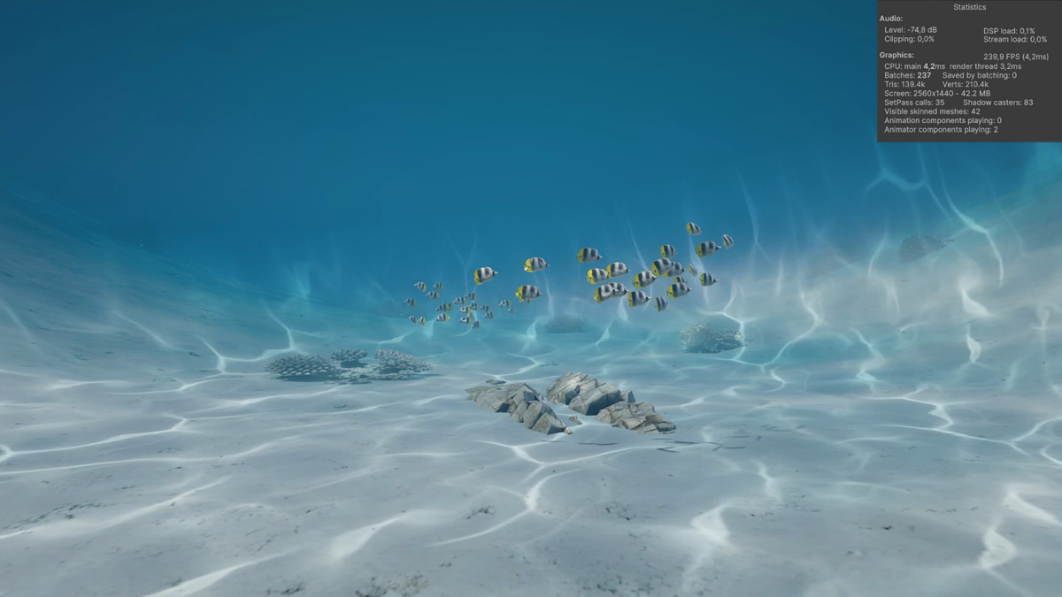 Schooling Butterfly Fish
