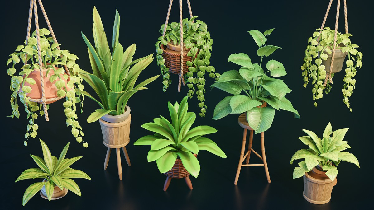 Stylized Home Plants