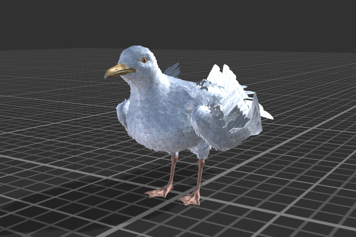 Seagull Feathered