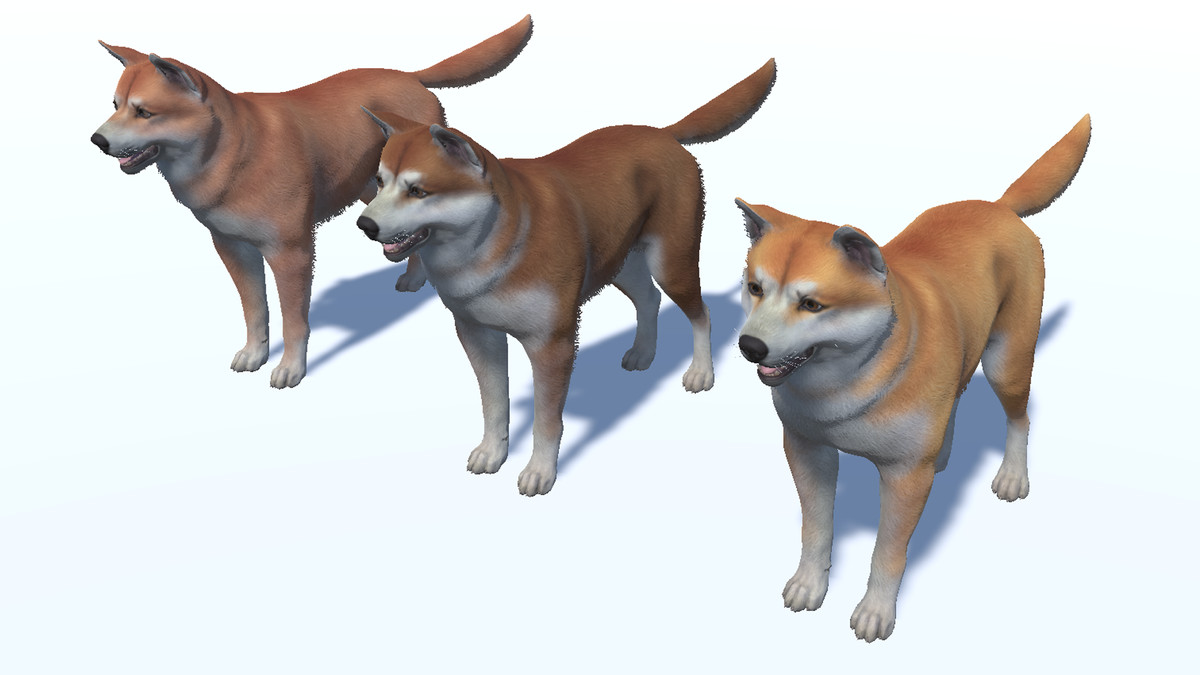 Dog - Akita Inu