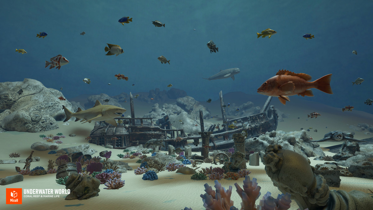 Underwater world - Coral Reef & Marine Life