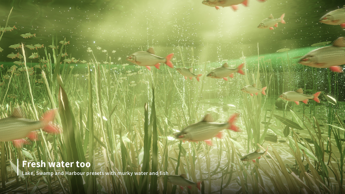 Real Underwater Worlds — Biome Generator & Rendering