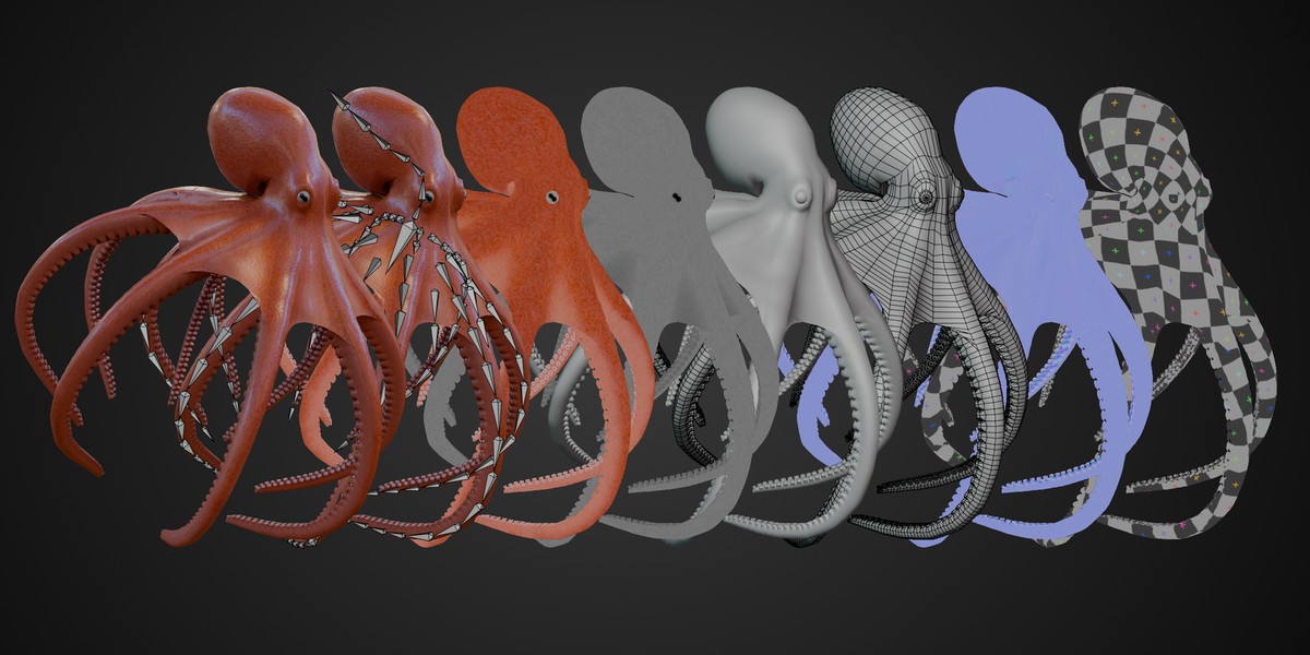 Animated Octopus