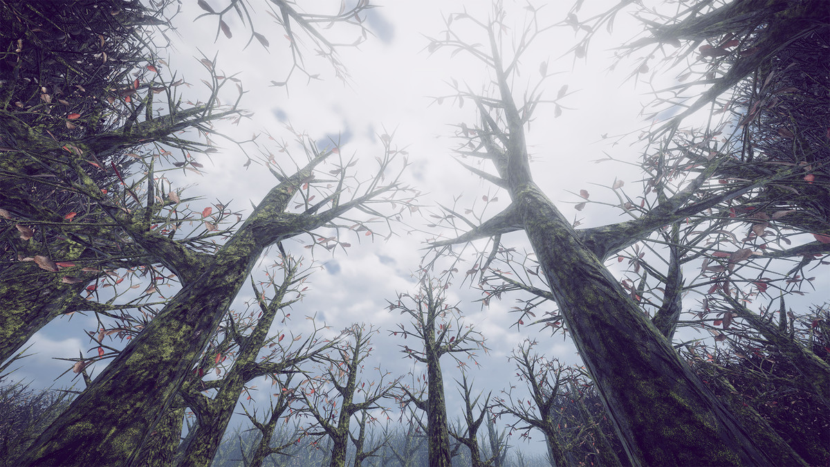 Sad Forest - Map Series 2 -