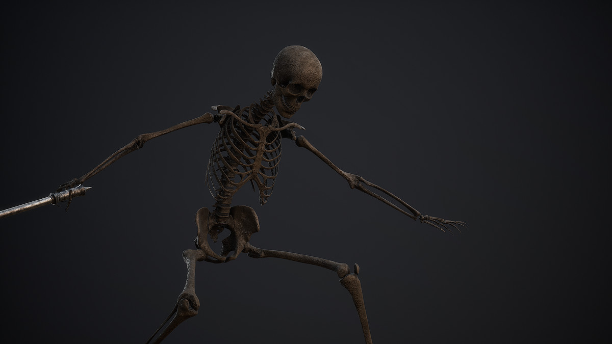 Skeleton Base