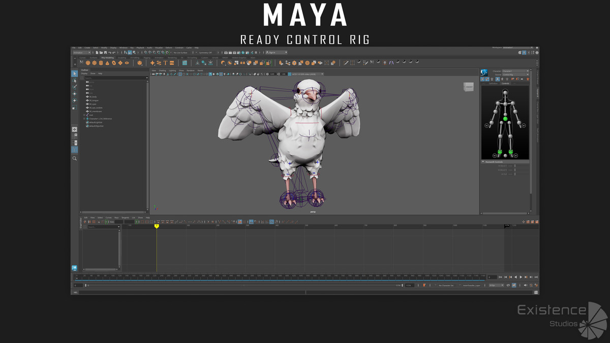 White Pigeon - Flying System - Bird Behavior