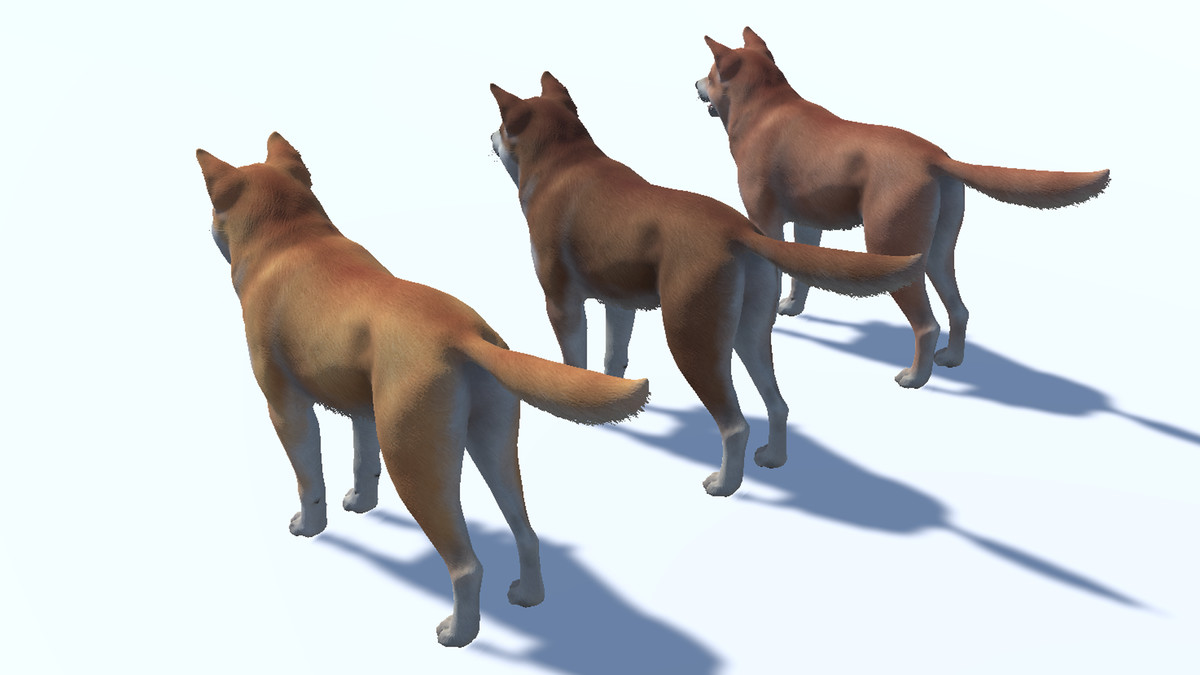 Dog - Akita Inu