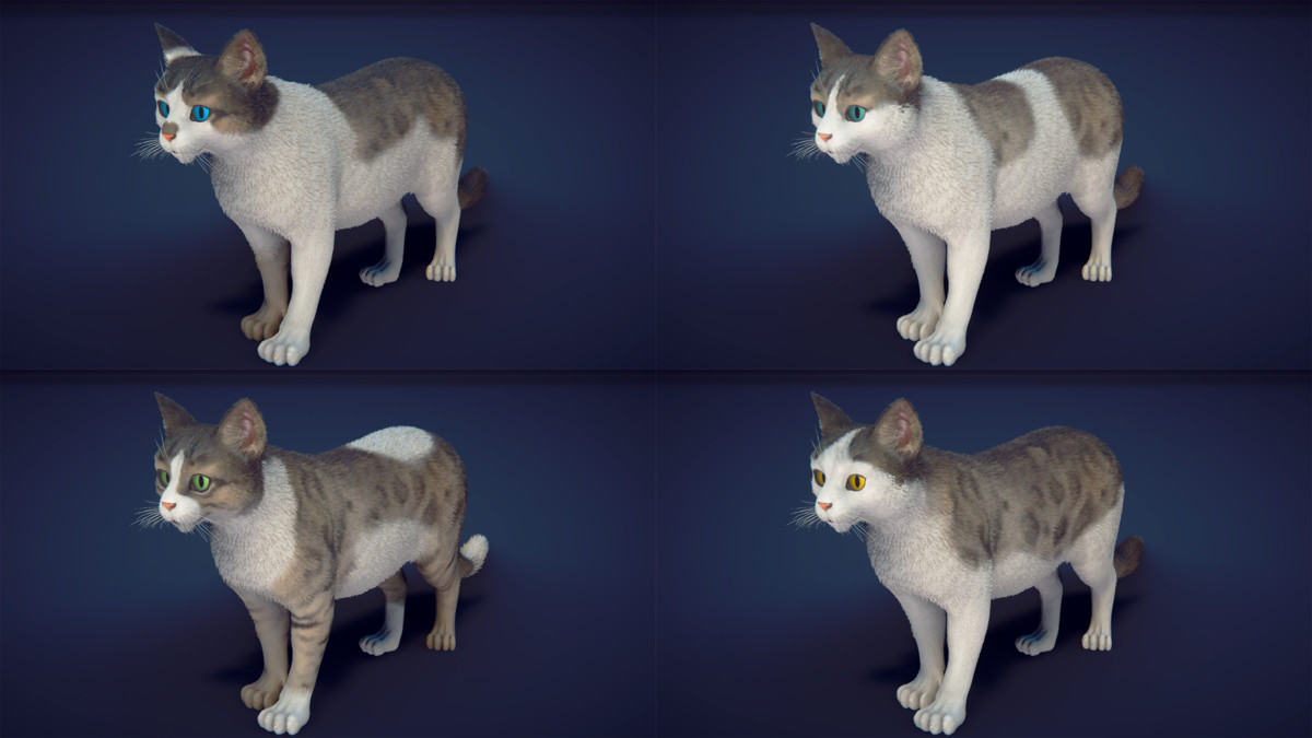 Milo the Cat