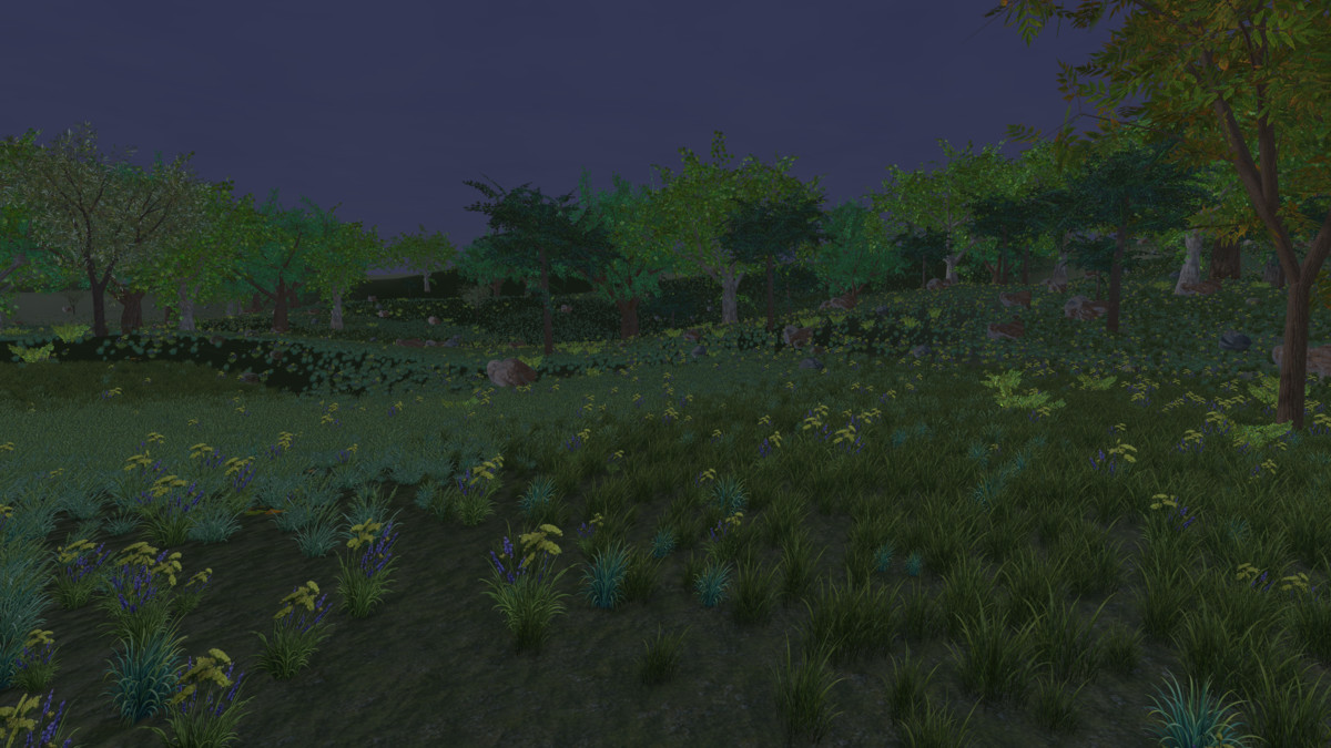 Runtime World Generation