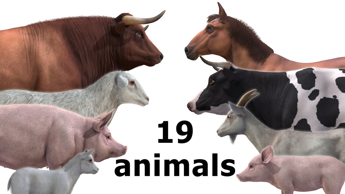 DOMESTIC ANIMAL PACK