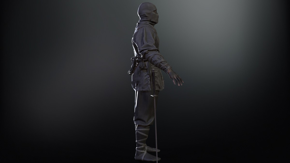 Classic Ninja