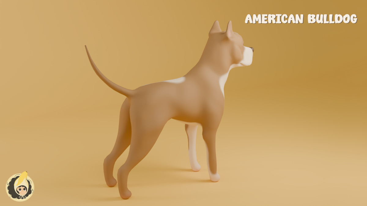 Animated American Bulldog