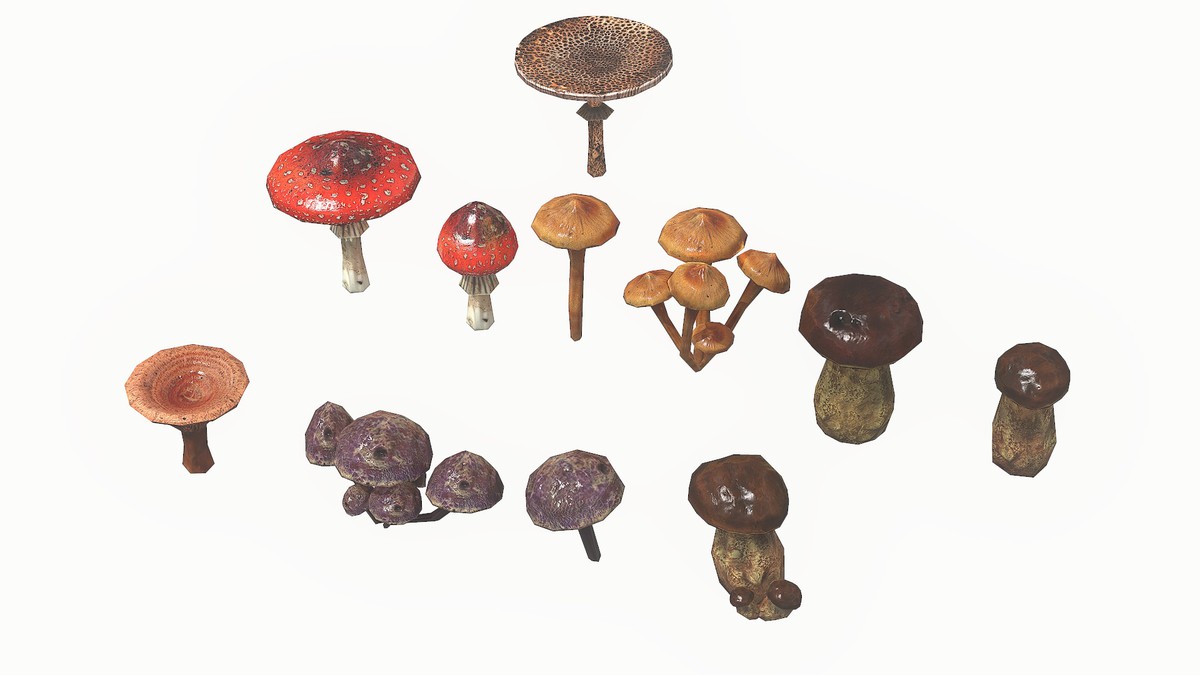 Mushrooms