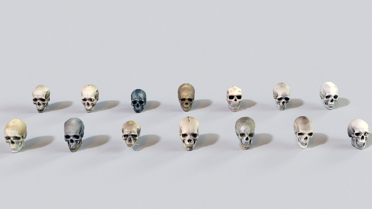 Ultimate Skeleton and Skull Pack. Game-ready low-poly assets