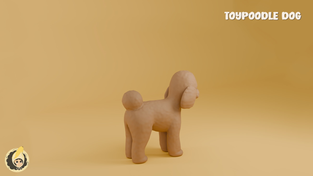 Animated Toy Poodle Dog