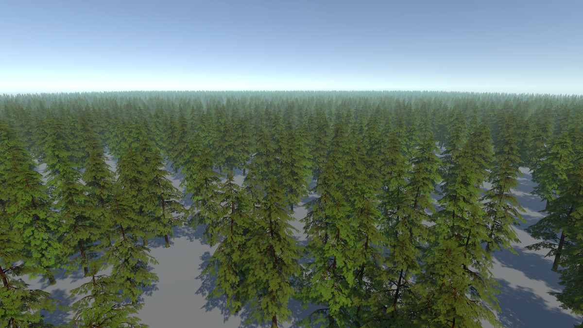 Skog: Temperate