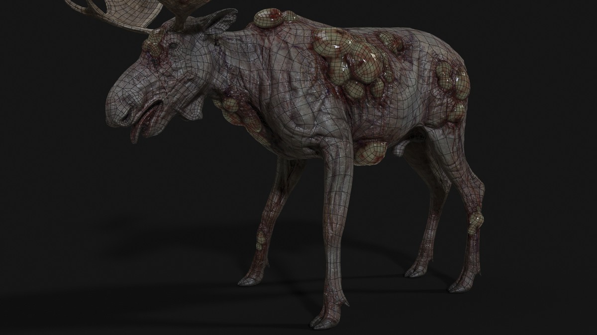 Rot Moose